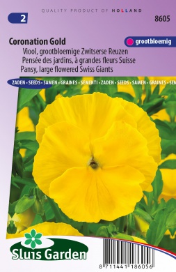Violet, Pansy Coronation Gold (Viola wittrockiana) 110 seeds SL